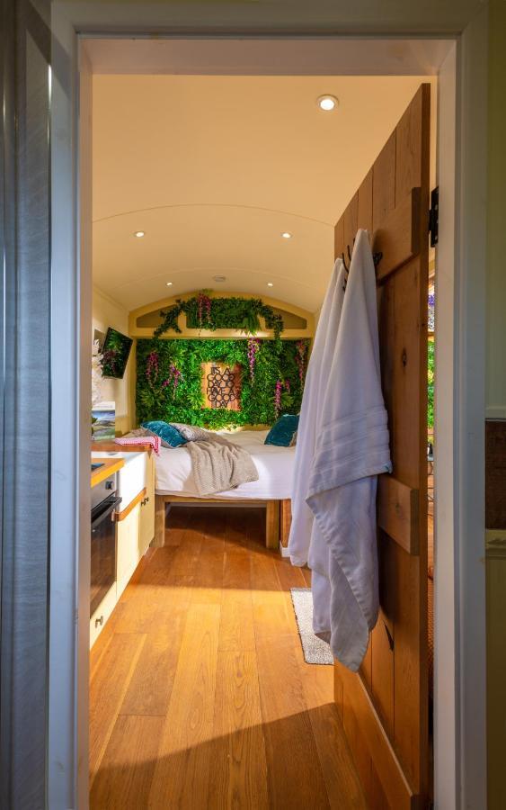 Hillside View Shepherds Hut - Ockeridge Rural Retreats Little Witley Zewnętrze zdjęcie