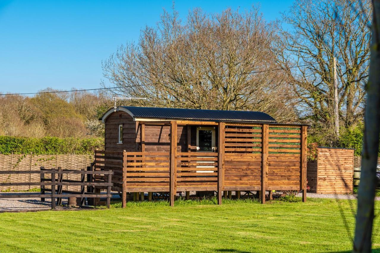 Hillside View Shepherds Hut - Ockeridge Rural Retreats Little Witley Zewnętrze zdjęcie